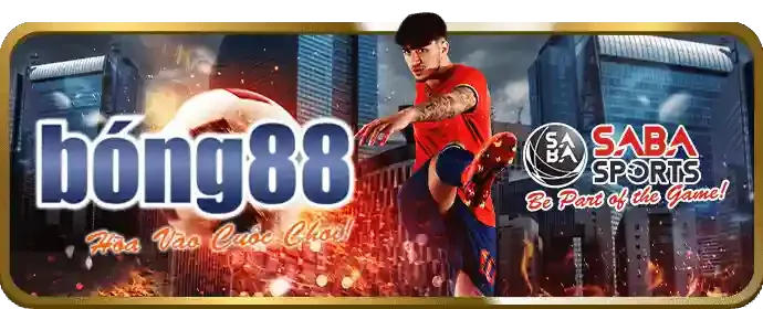 Cá cược bóng đá sôi động tại vvvvwin